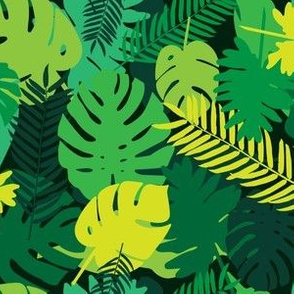 Tropical Leaves