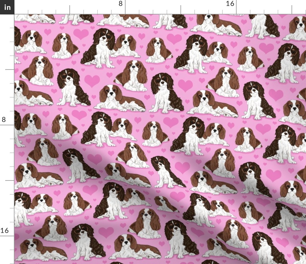 Cavalier King Charles Spaniel on pink 6x6