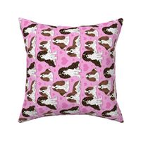 Cavalier King Charles Spaniel on pink 6x6 sideways