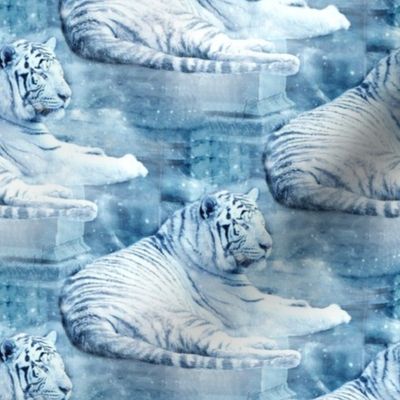 white tiger in winter