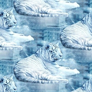 white tiger in winter