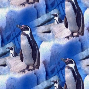 penguin on the rocks - painting effect