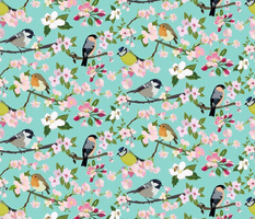 Blossom_and_Birds