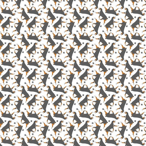 Tiny Trotting Entlebucher mountain dog and paw prints - white