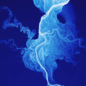 Willamette River - LIDaR images / river swirls meander belts