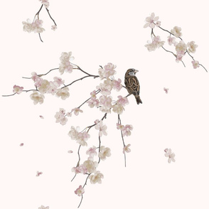 birds_blossoms