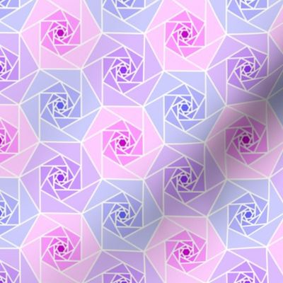 06348361 : geo rose garden : cool