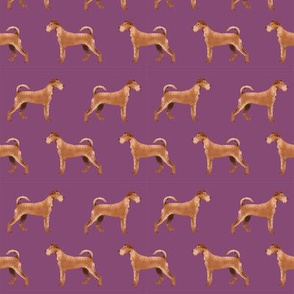 irish terrier fabric dog fabric - amethyst