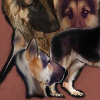 German shepherd Collage