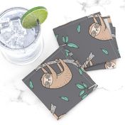 Sloth Sloths on Tree Branch with Leaves on Grey