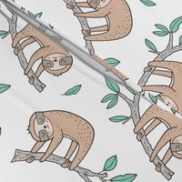 Sloth Sloths on Tree Branch with Leaves on White