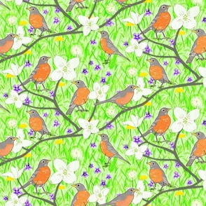 Robins and Spring Blooms