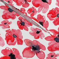 Red watercolor poppies