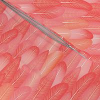 Flamingo Feather Pattern ©Jennifer Garrett