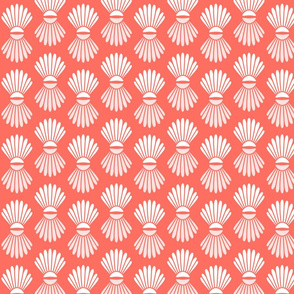 Scallop Shells on Coral