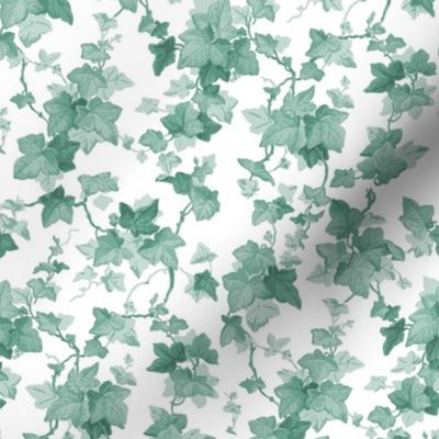 English Ivy ~ Pale Green 