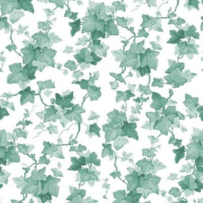 English Ivy ~ Pale Green 