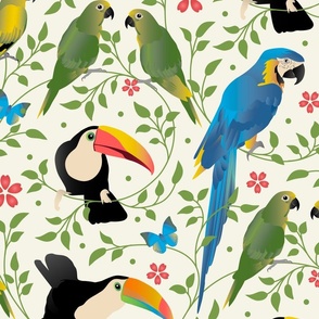Exotic Parrots and Toucans