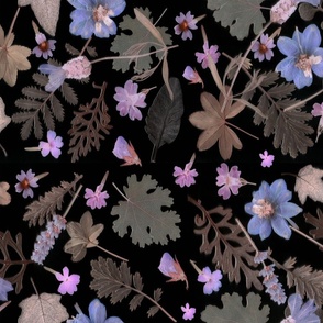 dark floral delphiniums
