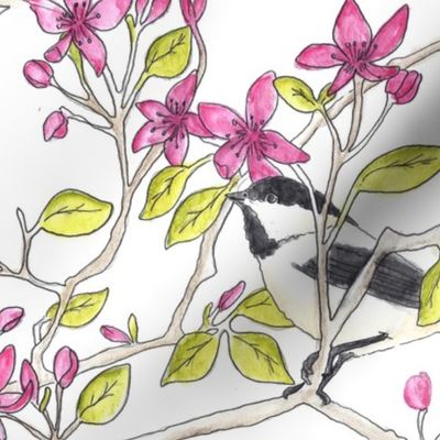 Chickadees in Blossoms