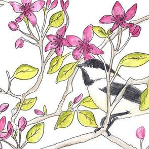 Chickadees in Blossoms