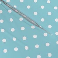 Sky Blue and White Polka Dots