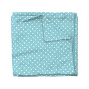 Sky Blue and White Polka Dots