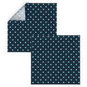 Navy and Turquoise Polka Dots