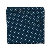 Navy and Turquoise Polka Dots