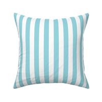 Sky Blue Wide Stripe