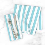 Sky Blue Wide Stripe