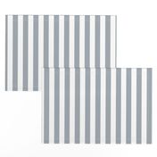 Grey Mist Wide Stripes