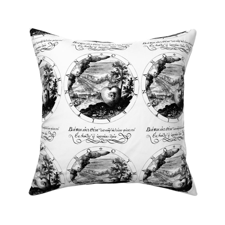 HOME_GOOD_SQUARE_THROW_PILLOW