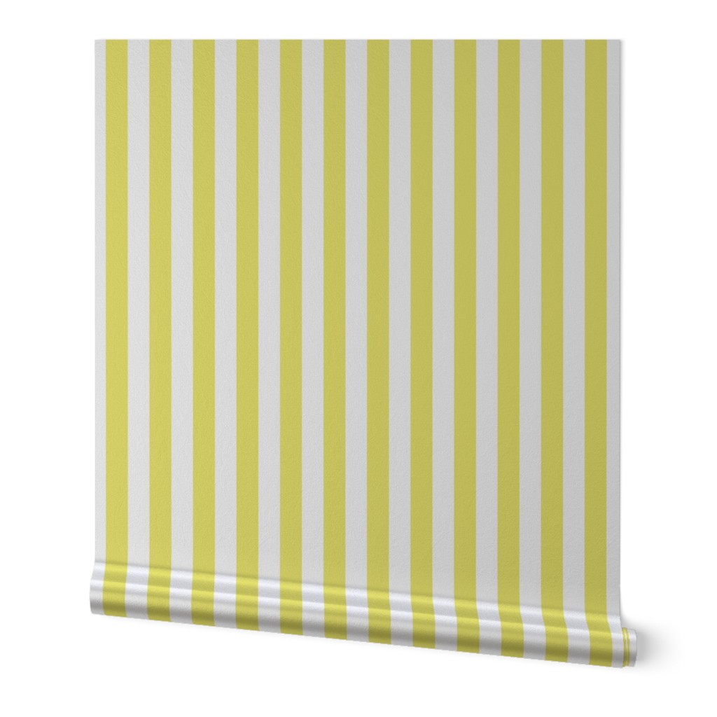 Citron and White Wide Stripes