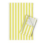 Citron and White Wide Stripes