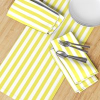 Citron and White Wide Stripes