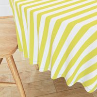 Citron and White Wide Stripes