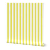 Citron and White Wide Stripes