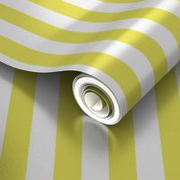 Citron and White Wide Stripes