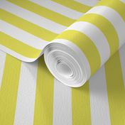 Citron and White Wide Stripes