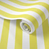 Citron and White Wide Stripes