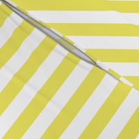 Citron and White Wide Stripes