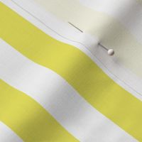 Citron and White Wide Stripes