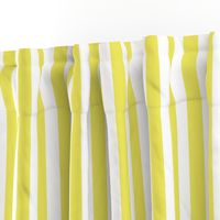 Citron and White Wide Stripes