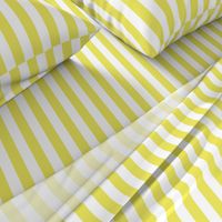 Citron and White Wide Stripes