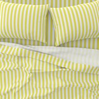 Citron and White Wide Stripes