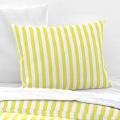 Citron and White Wide Stripes