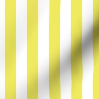 Citron and White Wide Stripes