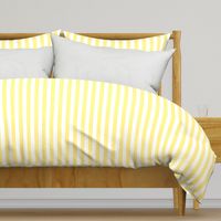 Buttermilk Yellow and White Wide Stripes