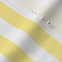 Buttermilk Yellow and White Wide Stripes